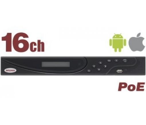 BK1216-P8