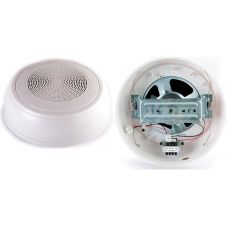 WP-10T 