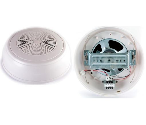 WP-10T