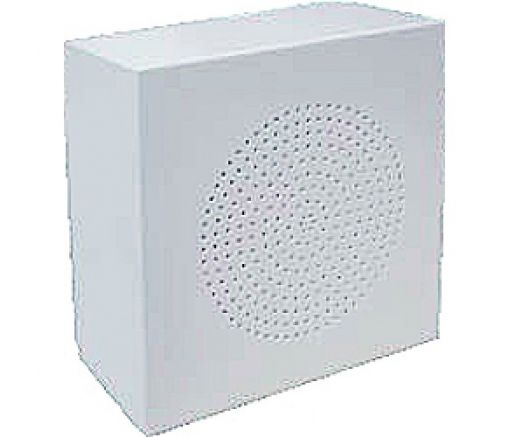 WS-06T