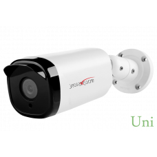 Уличная 2Мп IP-камера с фиксированным объективом, аудио вход/выход PNL-IP2-B2.8PA v.5.8.8