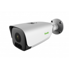 IP камера уличная TC-C35LQ (Tiandy) 